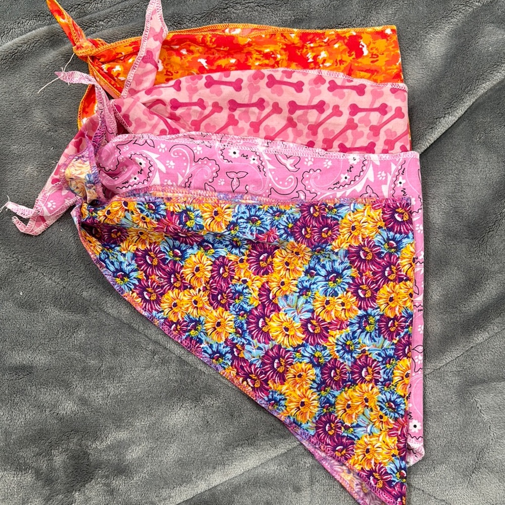 Colorful Dog Bandanas Set